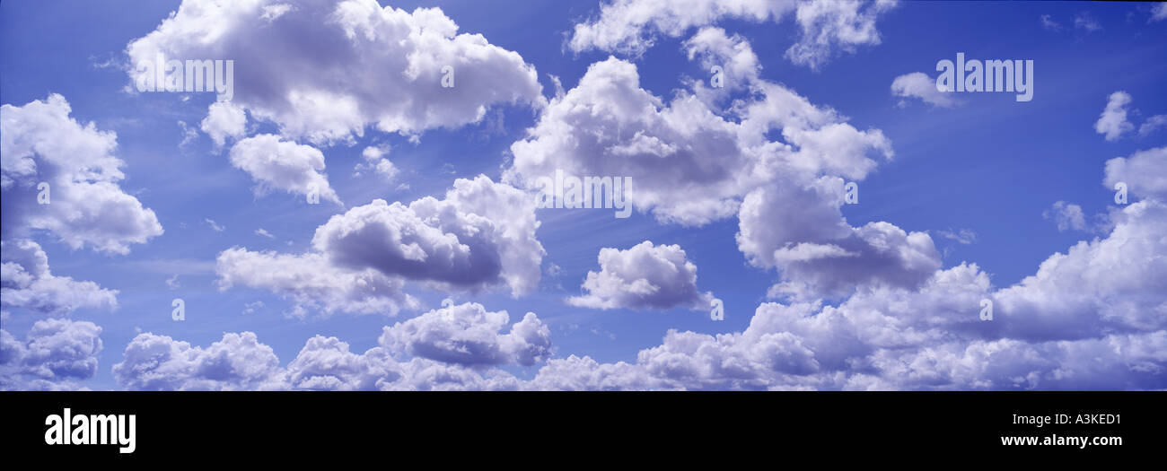 Panoramica del cielo blu con nuvole Foto Stock