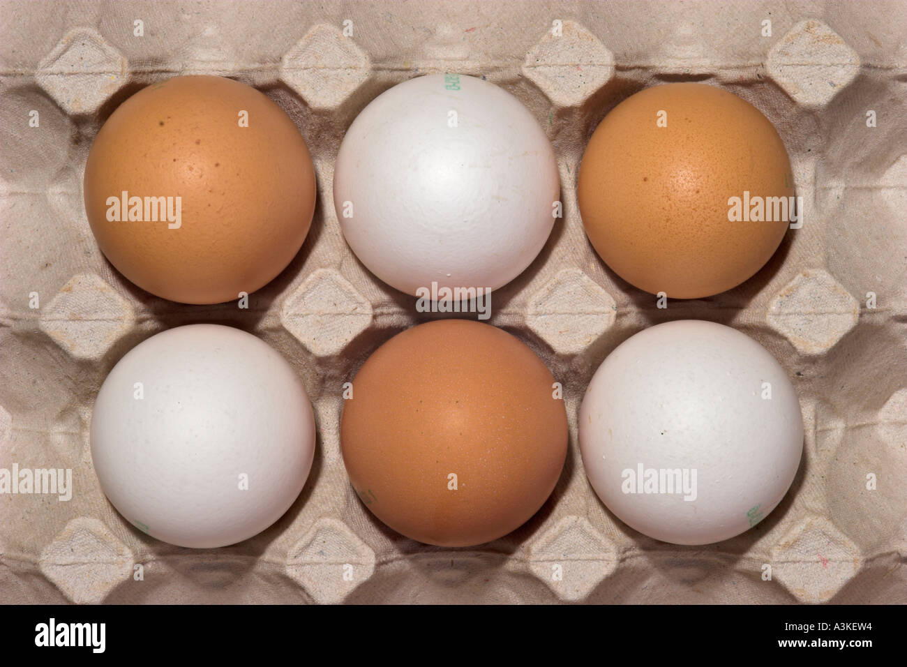 много яиц в день. польза куриных яиц. употребление куриных яиц. употребление куриных яиц. информация о куриных яйцах.