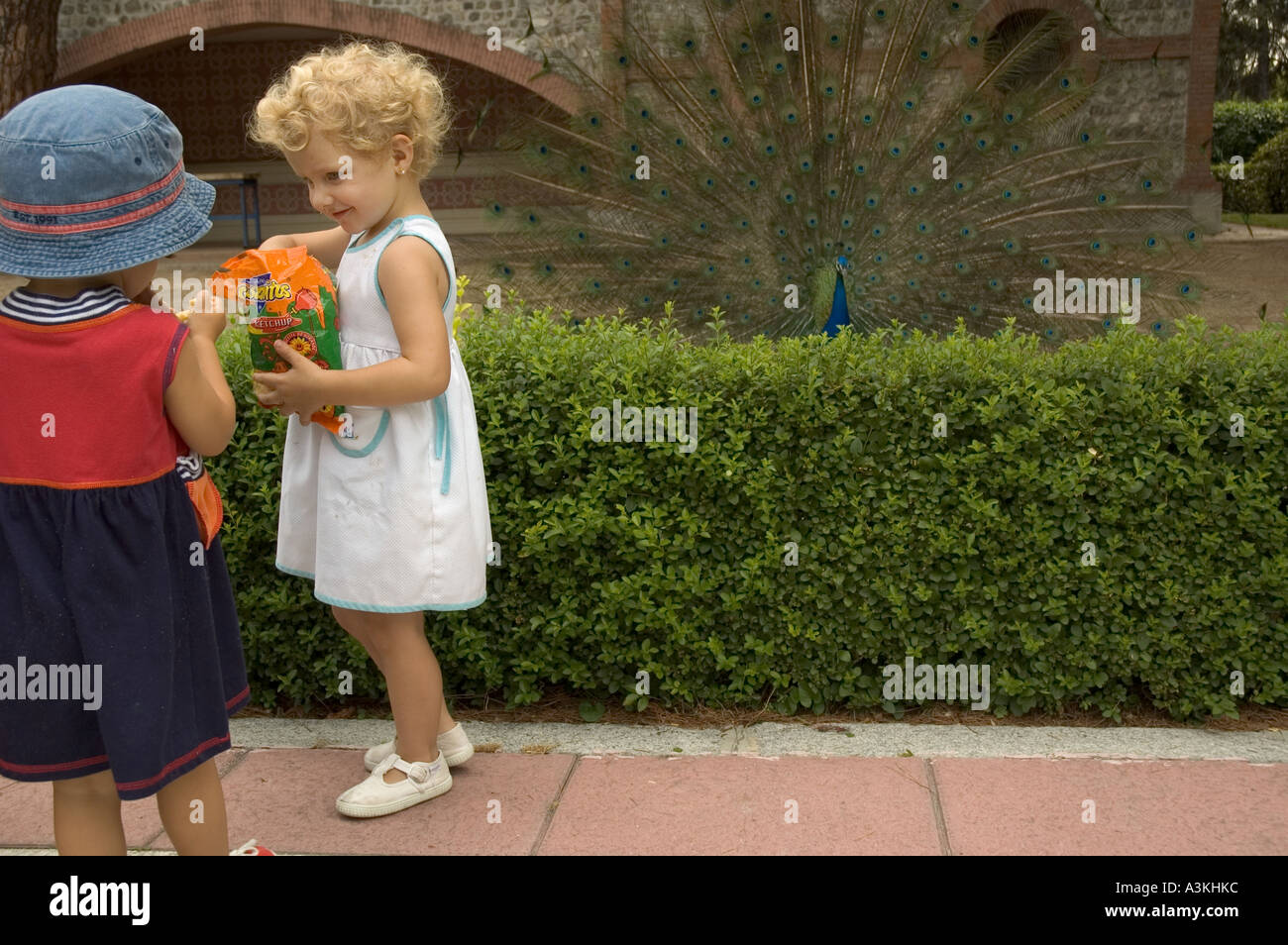 Due giovani ragazze alimentando un pavone in el Parque del Buen Retiro Madrid Spagna Europa Foto Stock