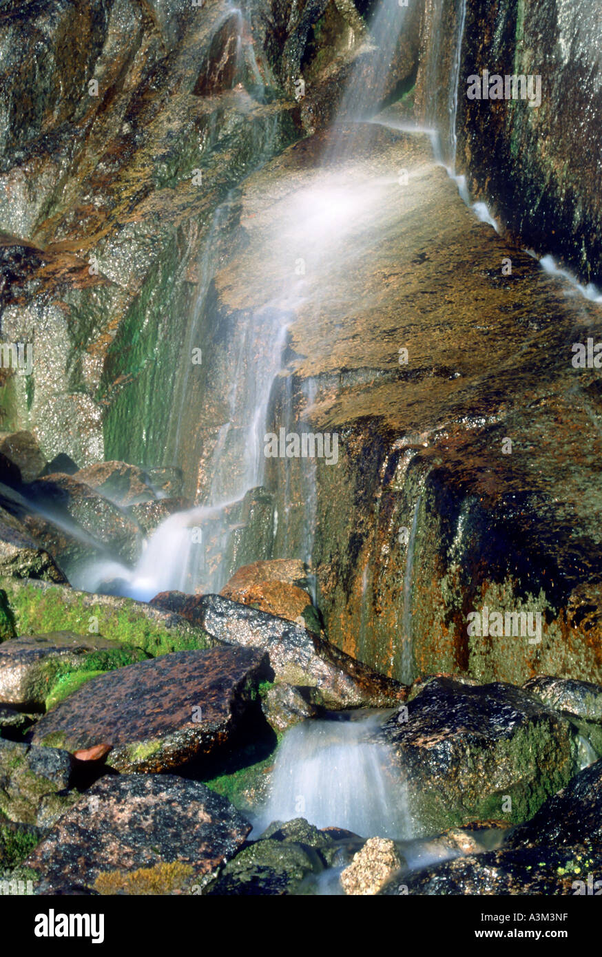 Una cascata nella gamma di Purcell Bugaboo Parco Provinciale della Columbia britannica in Canada Foto Stock