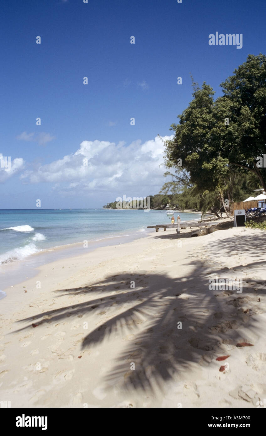 Lonestar Beach costa occidentale spiaggia tranquilla con motivi ombrosi di palme a strapiombo sulla sabbia opuscolo per le vacanze a Lonestar Beach Barbados Caraibi Foto Stock