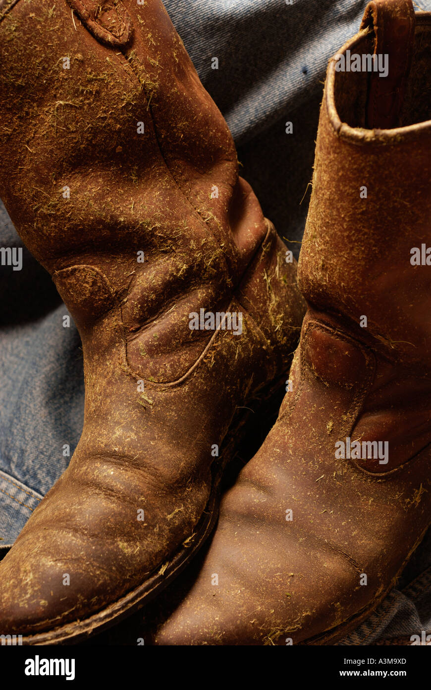 Stivali da cowboy in coperta asciugato fieno ed erba logore e Canada in pelle Foto Stock