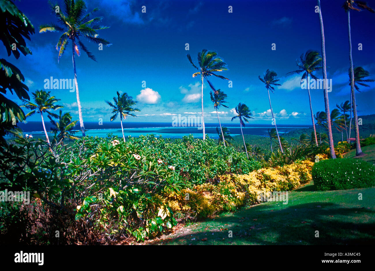 Vista oceano dalla parte superiore dell'isola privata e lussuoso resort Fiji Laucala Foto Stock