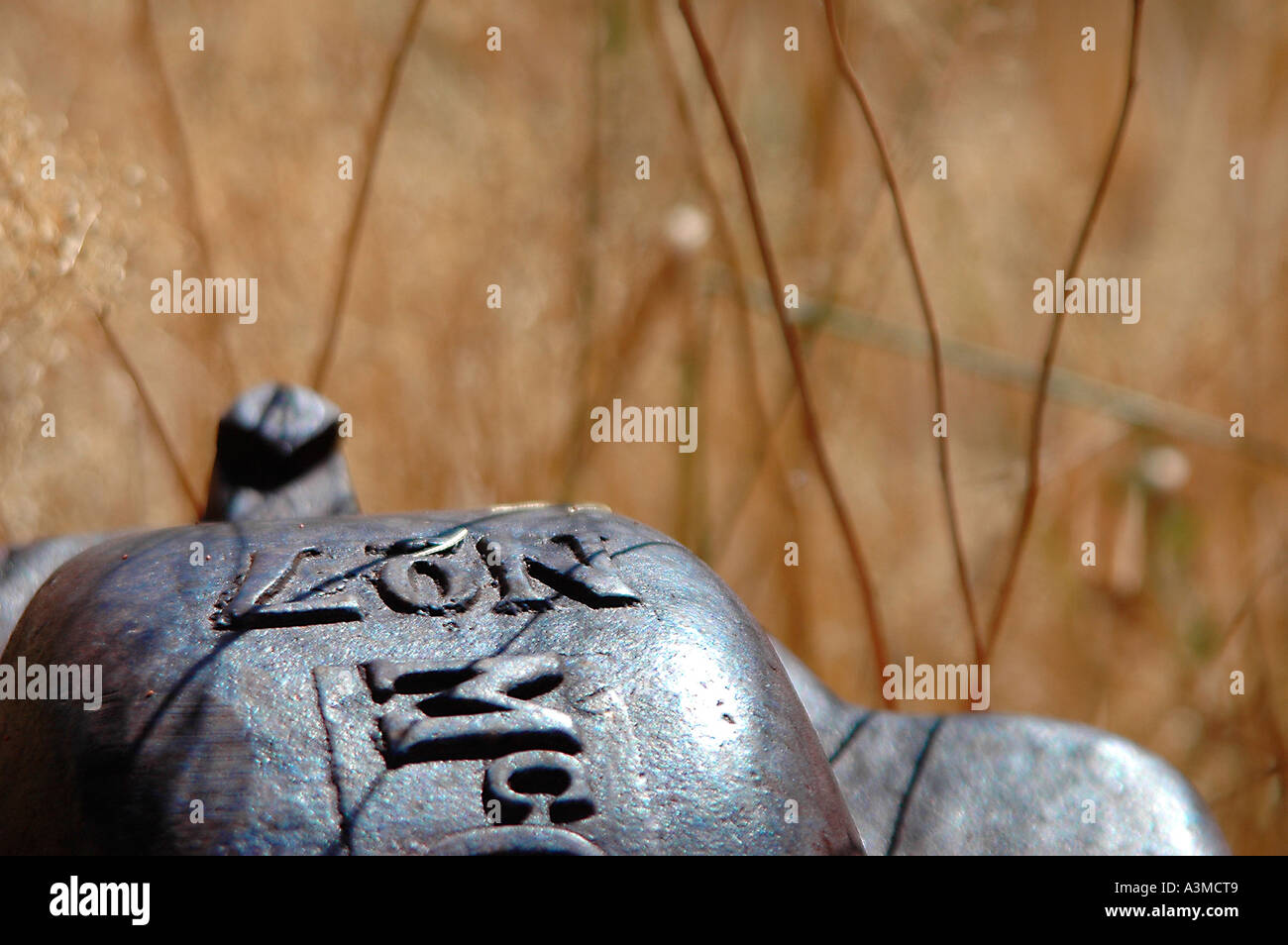 Antiquariato taglierina di fieno su un soleggiato vicino fino a un campo di dead brown erbacce Foto Stock