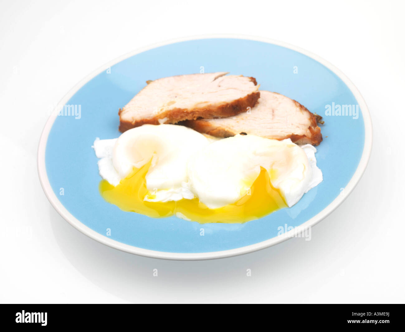 La Turchia con le uova in camicia Foto Stock