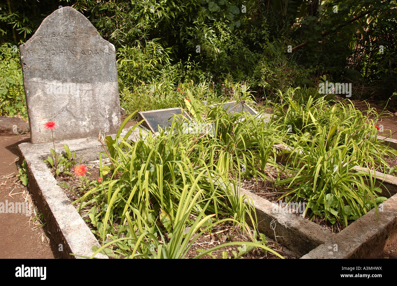 John Adams tomba. Isola di Pitcarn Foto Stock