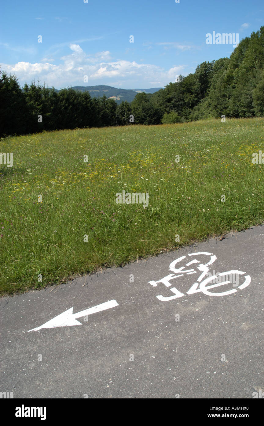 Pista ciclabile di marcatura su di una strada in posizione idilliaca, rurale, paesaggio Foto Stock