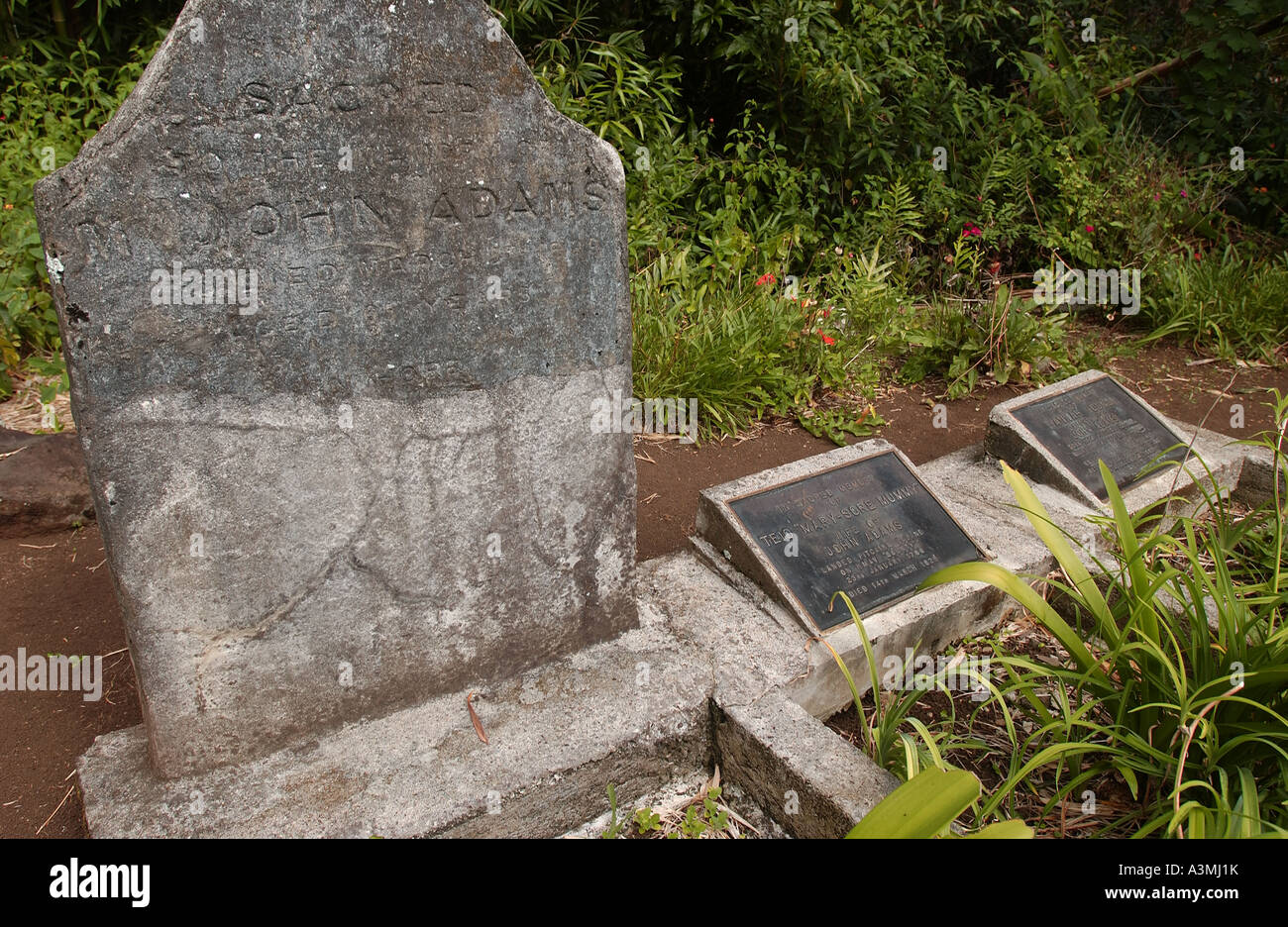 John Adams tomba. Isola di Pitcarn Foto Stock
