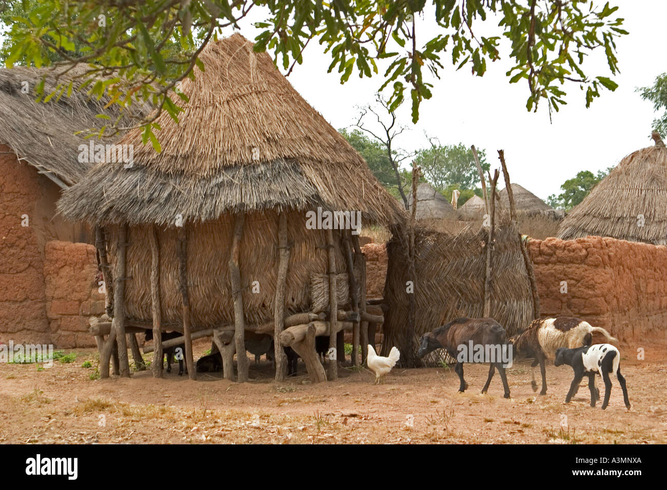 Silos o kupro utilizzato per immagazzinare il mais per scorte di sementi e cibo Mognori comunità del villaggio, del nord del Ghana Foto Stock