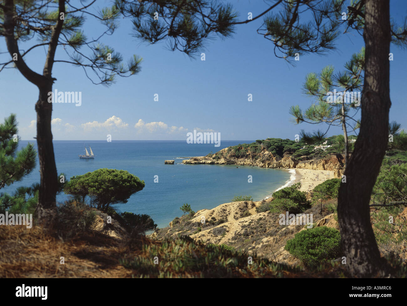 Il Portogallo Algarve, Praia de Santa Eulalia, nei pressi di Albufeira, visto attraverso gli alberi di pino Foto Stock