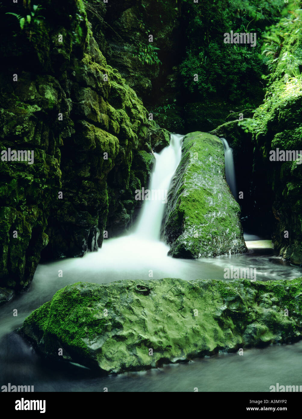 Acqua caduta alla Howk, Calbeck, Cumbria, Inghilterra, Regno Unito. Foto Stock