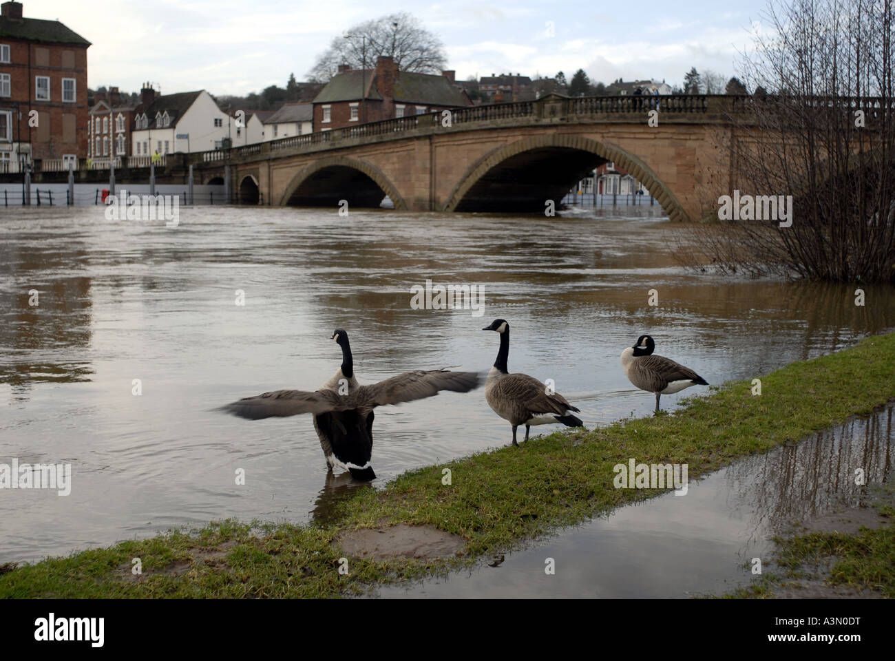 Barriere antiesondazione il fiume Severn a Bewdley Worcestershire. Foto Stock