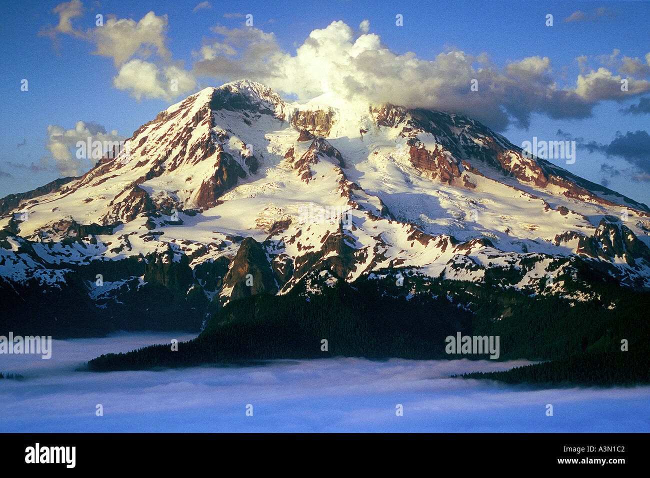Mt Rainier e il Ghiacciaio Tahoma Foto Stock