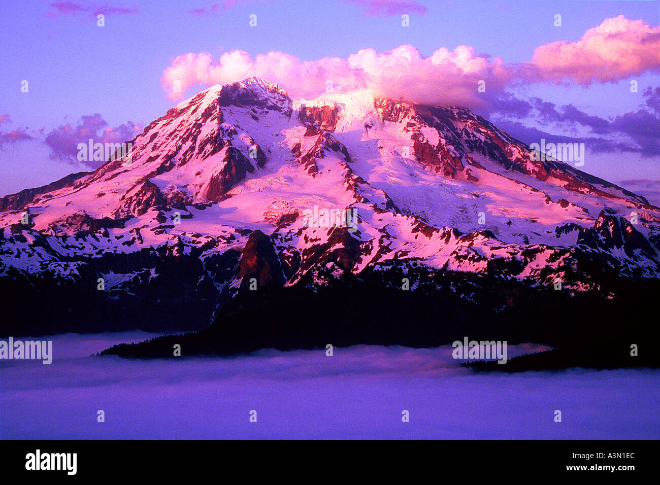 Sera alpenglow sul Monte Rainier Foto Stock