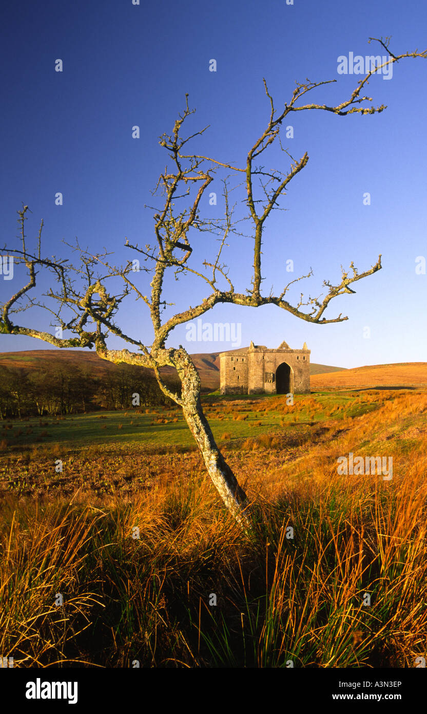 La mattina presto in luce il lugubre lonely tetro male la rovina del castello di Hermitage Liddesdale Scottish Borders Scozia Gran Bretagna Foto Stock