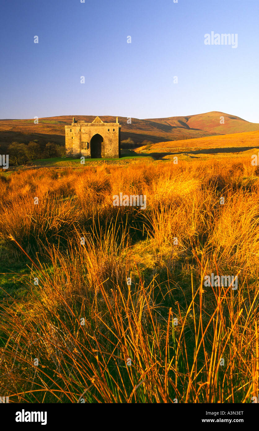 La mattina presto in luce il lugubre lonely rovina il male la rovina del castello di Hermitage Liddesdale Scottish Borders Scotland Regno Unito Foto Stock