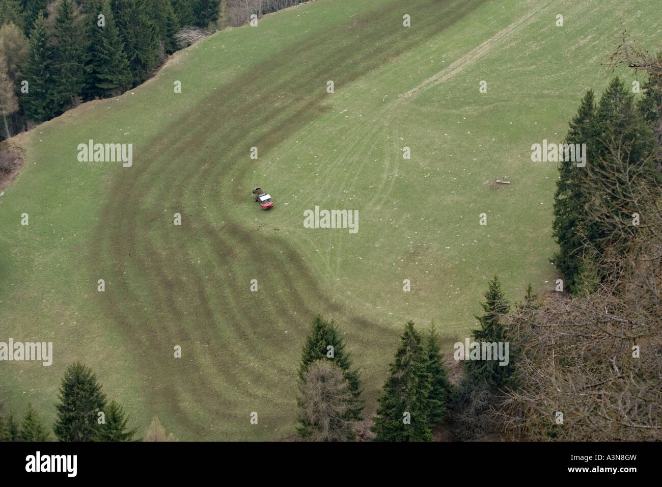 La fertilizzazione di un prato di montagna con concime, Alto Adige, Italia Foto Stock
