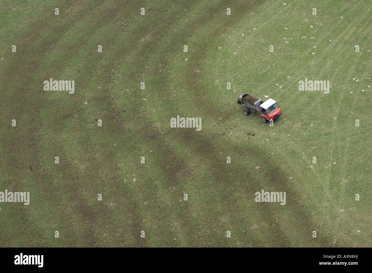 La fertilizzazione di un prato di montagna con concime, Alto Adige, Italia Foto Stock