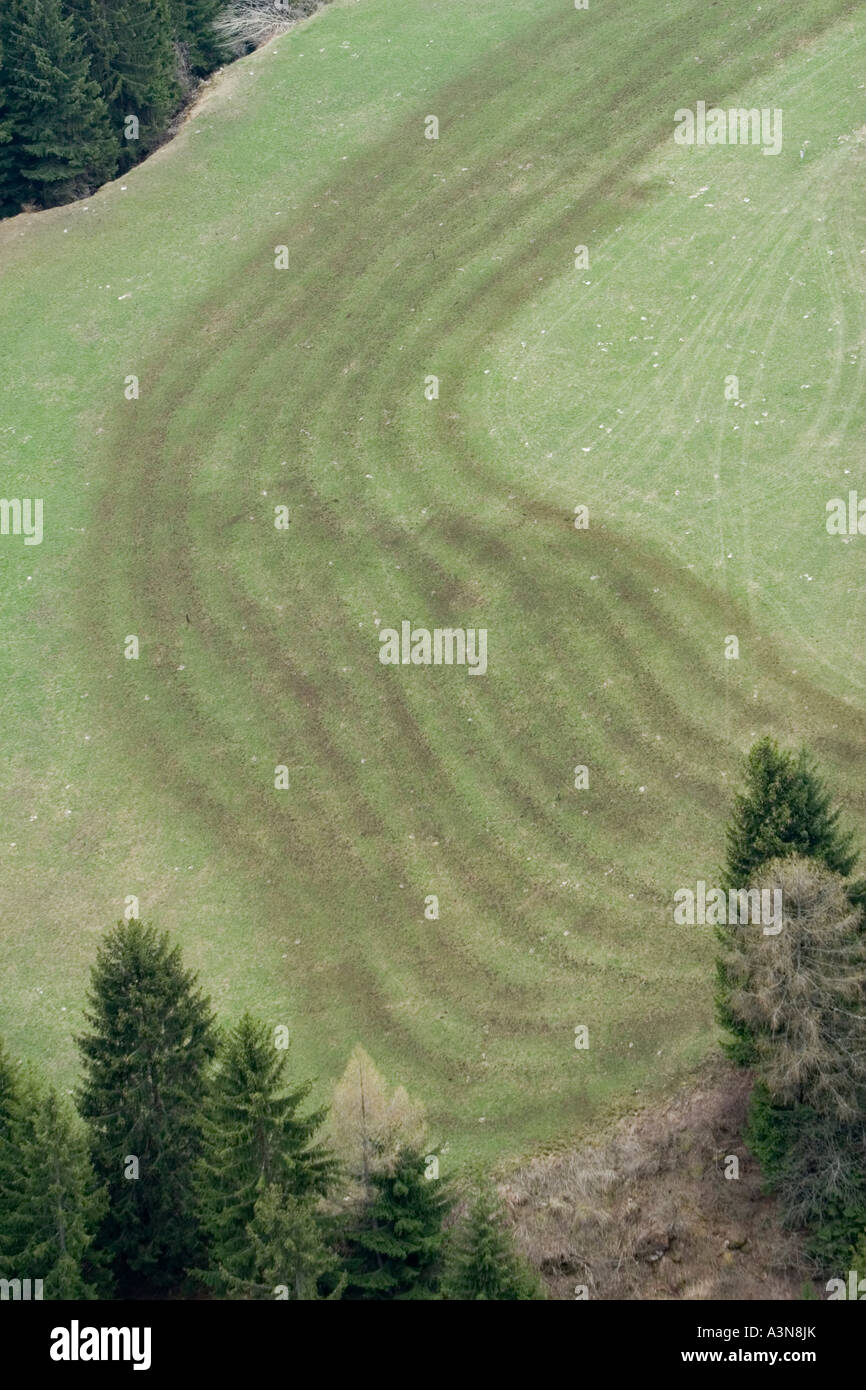 La fertilizzazione di un prato di montagna con concime, Alto Adige, Italia Foto Stock