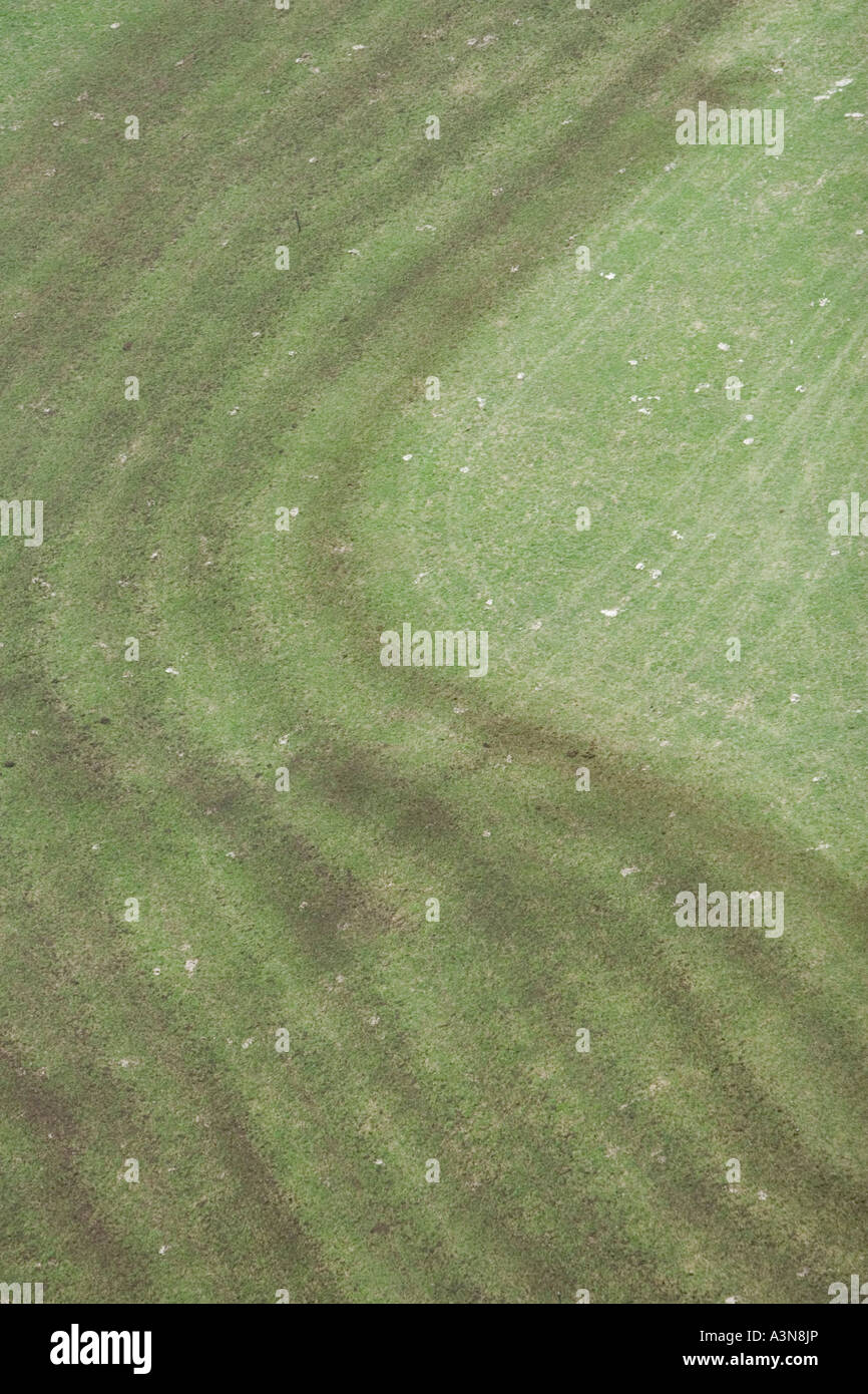 La fertilizzazione di un prato di montagna con concime, Alto Adige, Italia Foto Stock