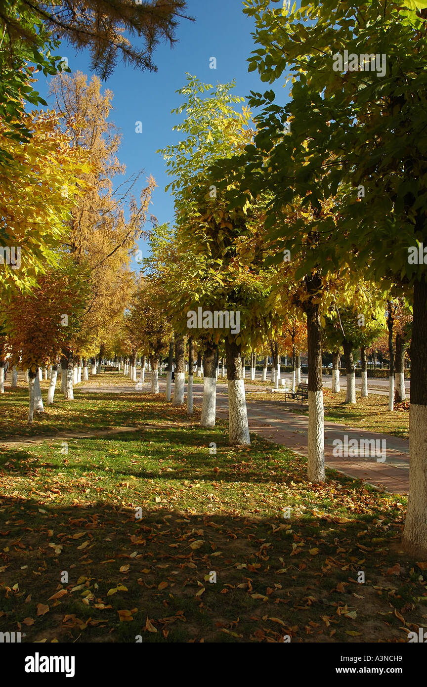 L'autunno. Colorata calda giornata di sole, dipinto gli alberi del parco di Solnechnogorsk, Mosca suburbia. Ottobre 2005. Foto Stock