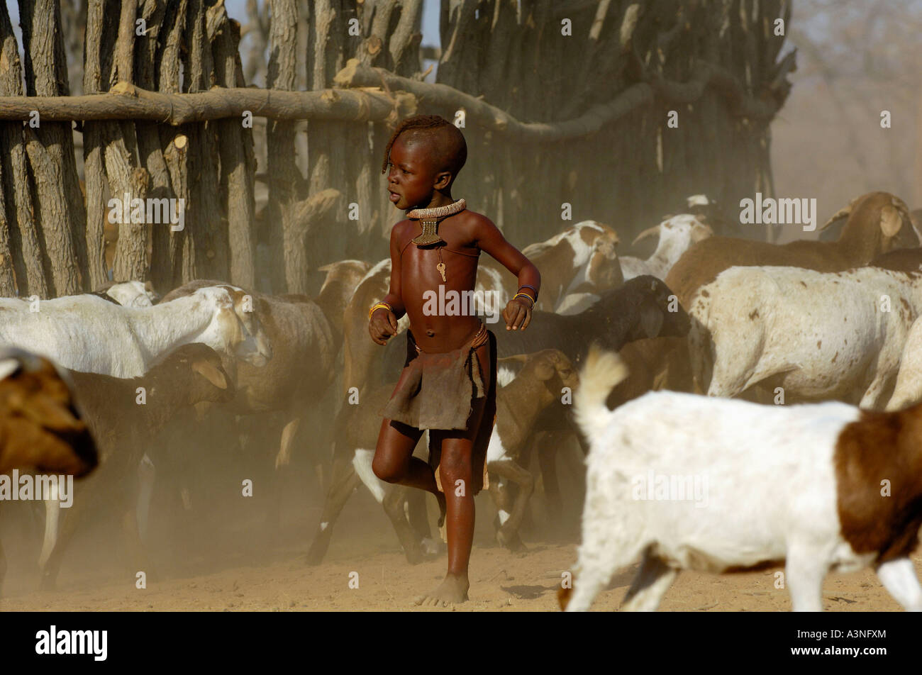 Ragazzo di Himba Foto Stock