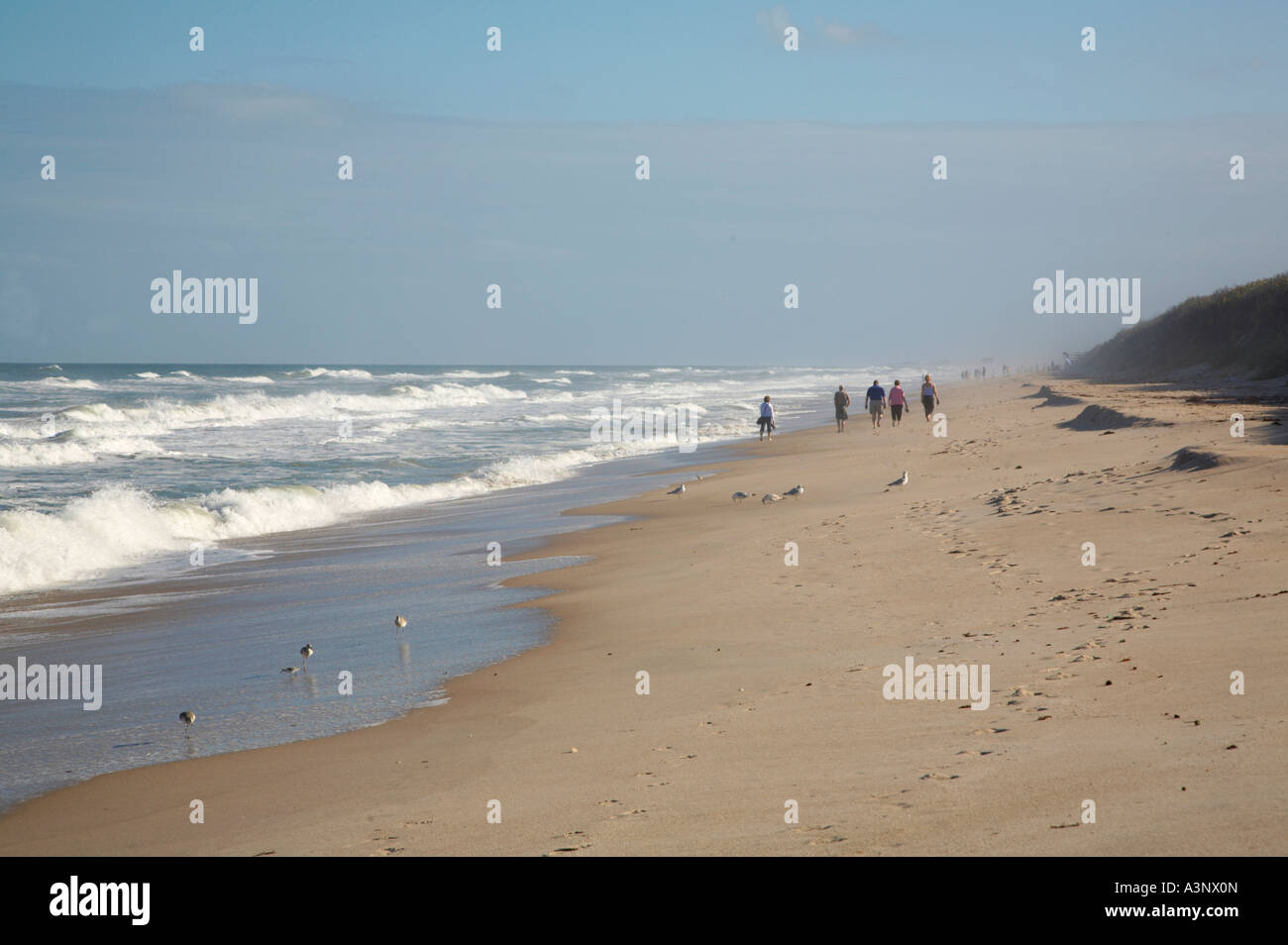La gente che camminava sul Playalinda Beach in Canaveral National Seashore sull'Oceano Atlantico in Florida Foto Stock