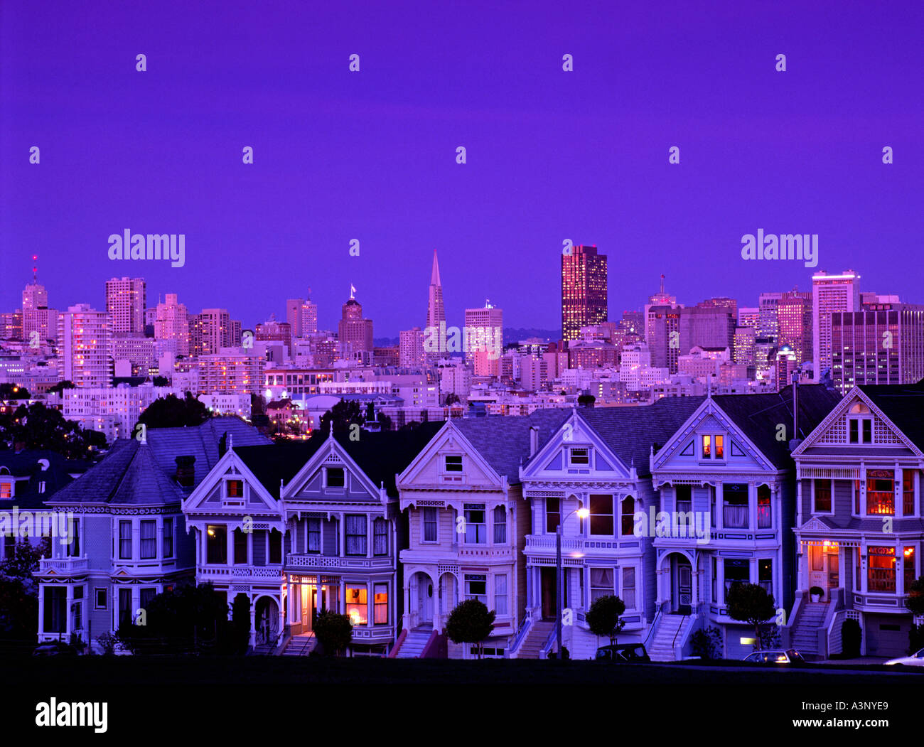 Case vittoriane Steiner Street di San Francisco California USA Foto Stock