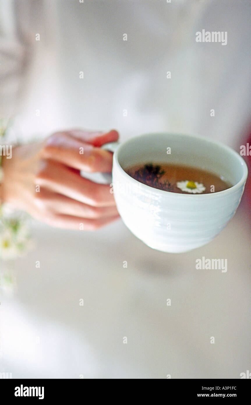 Ragazze mano azienda porcellana bianca tazza di tè camomilla con fiore galleggianti in esso Foto Stock