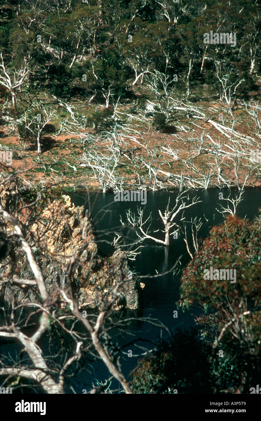 Kosciusko Parco Nazionale del Nuovo Galles del sud - Australia Foto Stock