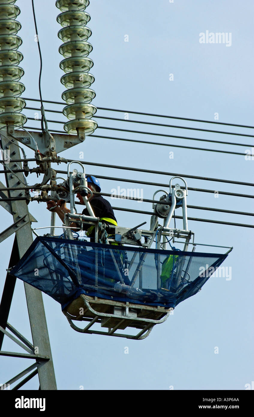 Energia elettrica i lavoratori che operano in diretta le linee di alimentazione Foto Stock