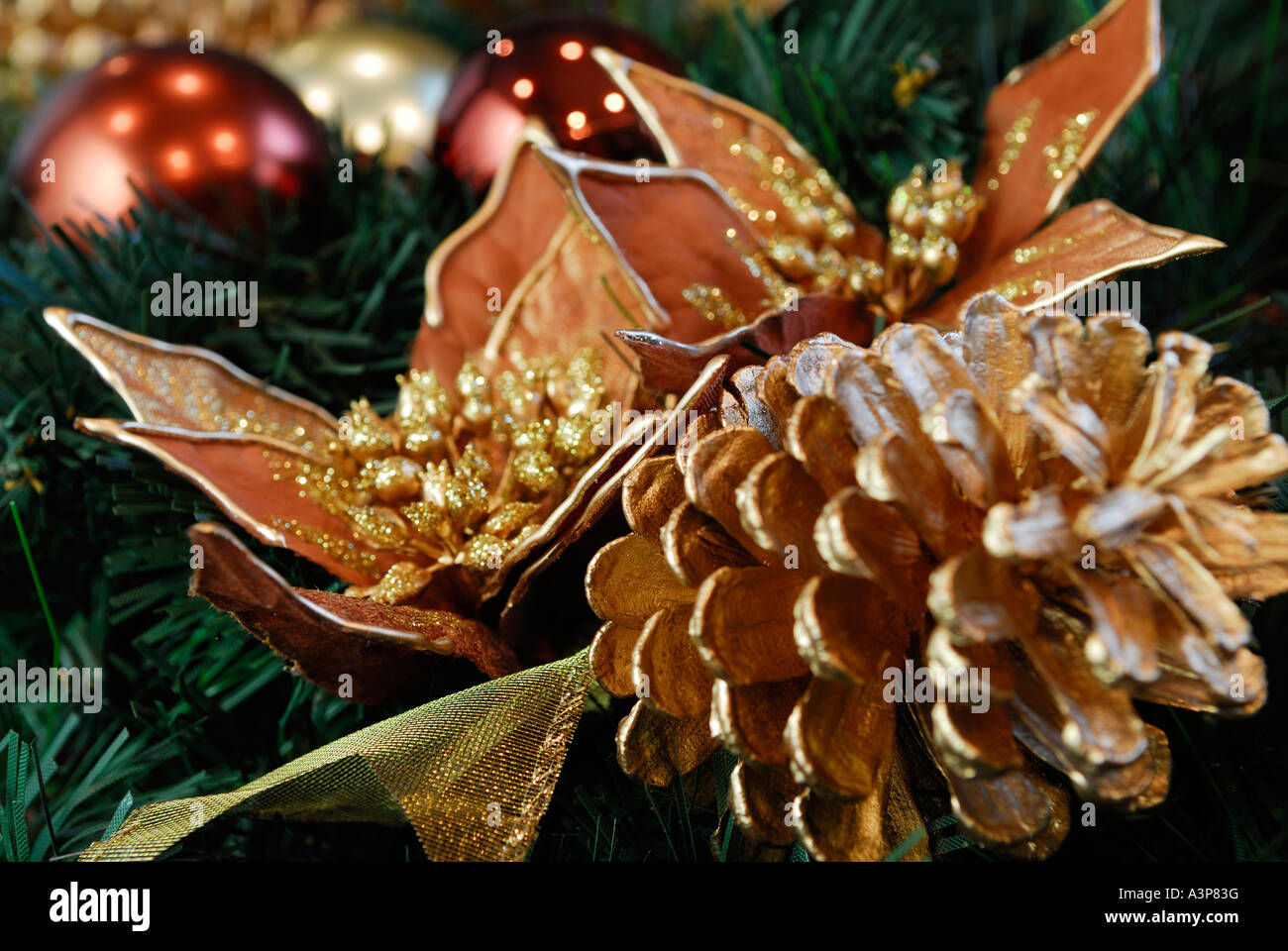Close up di Natale wreathe adornata con coni dorati fiori e bulbi Foto Stock