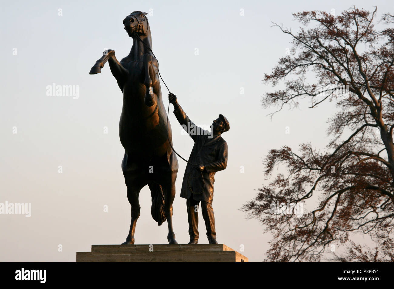 Statua di allevamento stallone ad ingresso a Newmarket, Suffolk, Regno Unito, al tramonto Foto Stock