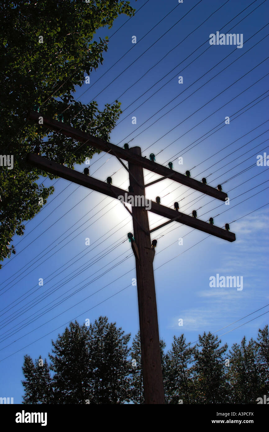 Linee telefoniche su vecchio palo del telefono Foto Stock