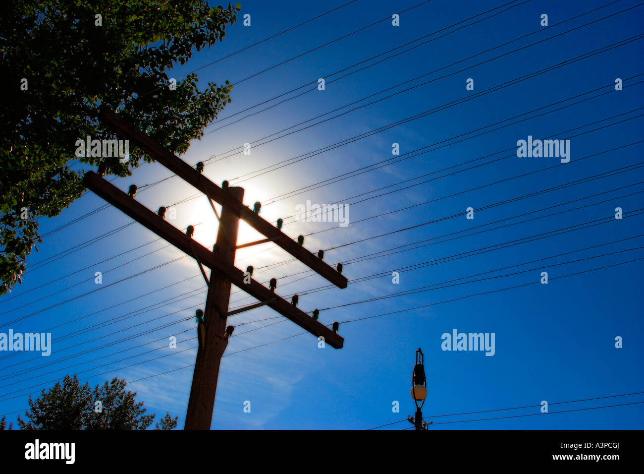 Linee telefoniche su vecchio palo del telefono Foto Stock