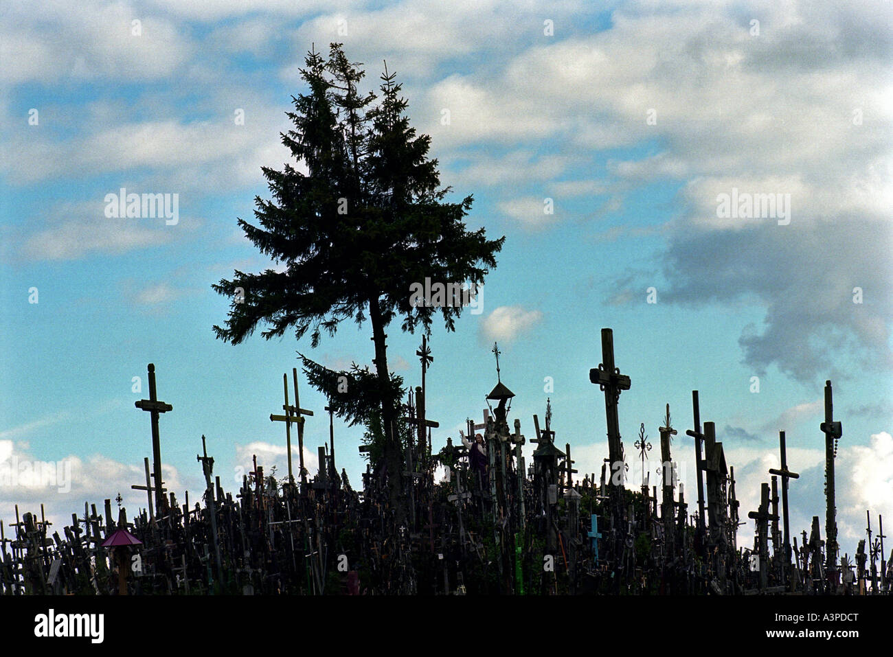 La Collina delle Croci, Lituania Foto Stock