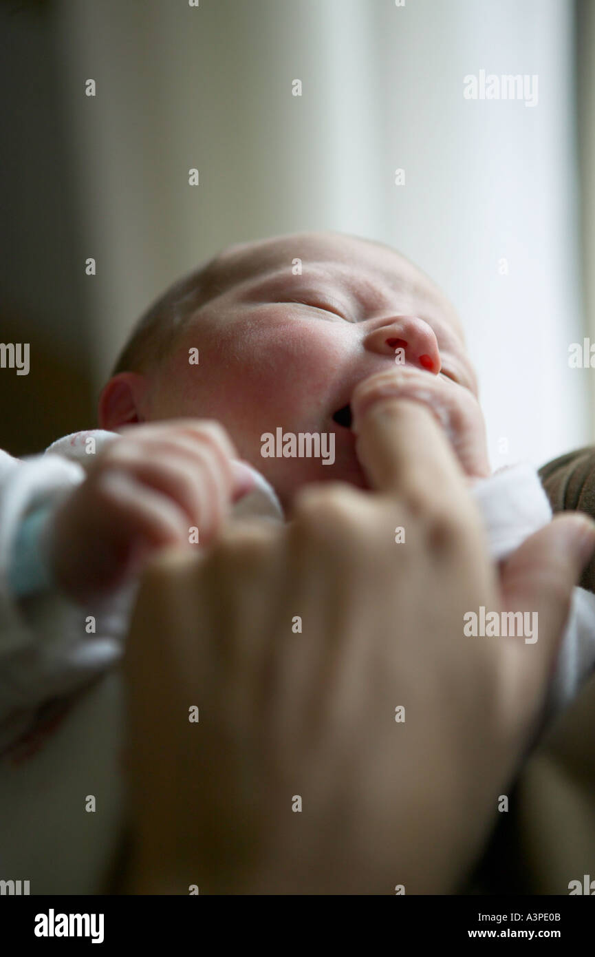 New Born Baby afferra la madre s dito in bocca Foto Stock