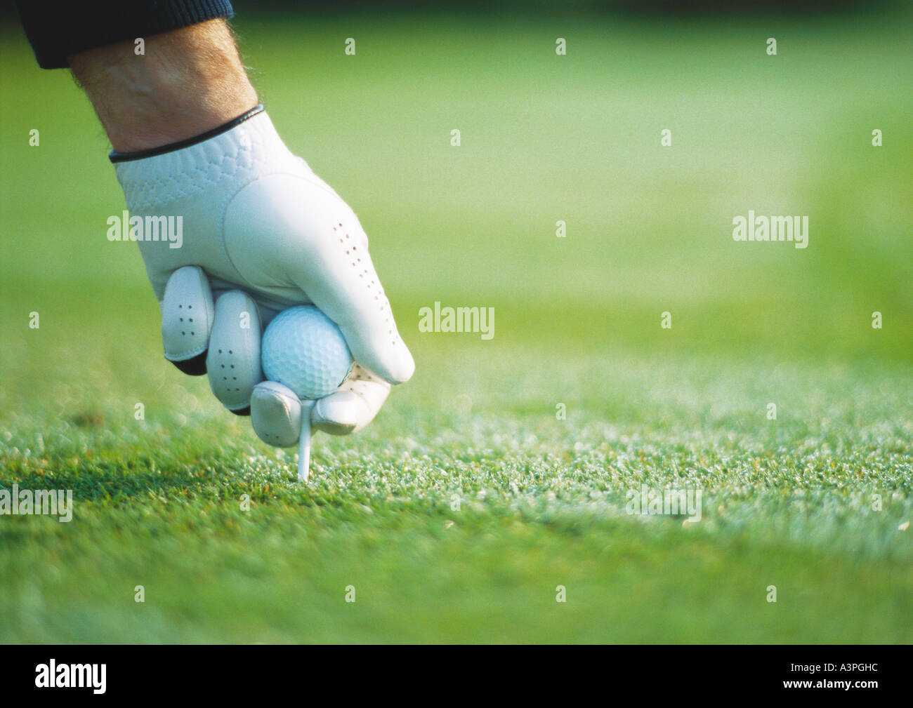 Per gli amanti del golf la mano guantata prepararsi, close-up Foto Stock