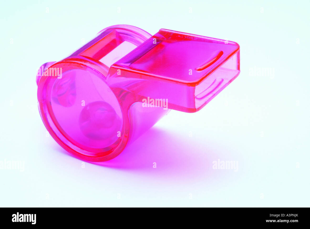 Fischietto rosa su sfondo bianco Foto Stock