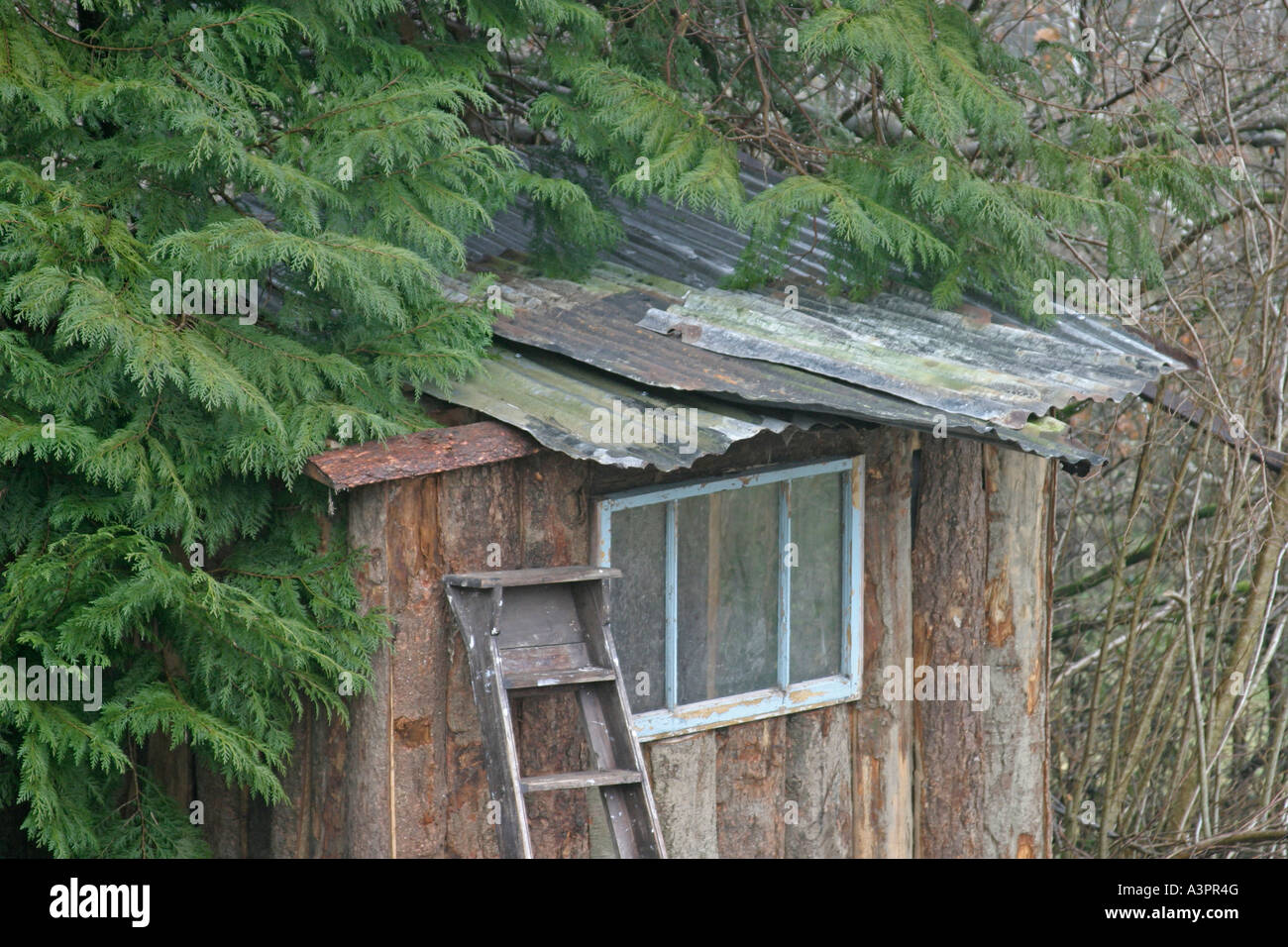 La costruzione di una Tettoia da giardino utilizzare i vecchi fogli di corregated ferro per il tetto Foto Stock