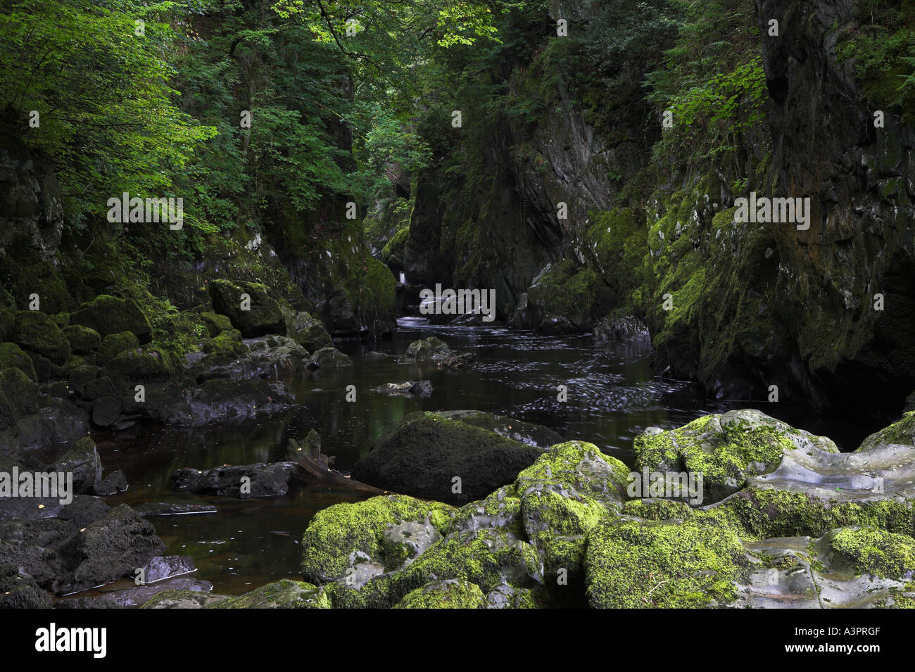 Fairy Glen, Betws-y-Coed, Galles del Nord, Regno Unito Foto Stock