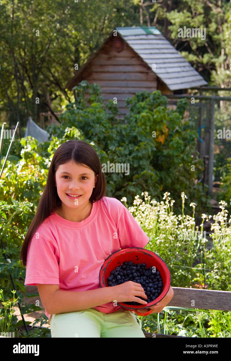 Ragazza giovane e carina con la raccolta di mirtilli in un colapasta rosso Foto Stock