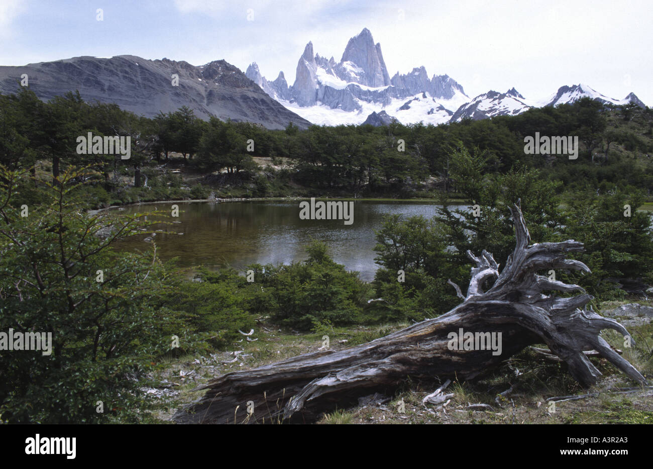 Il Fitz Roy la gamma della montagna Cerro El Chalten nel parco nazionale Los Glaciares El Chalten Patagonia Argentina America del Sud Foto Stock