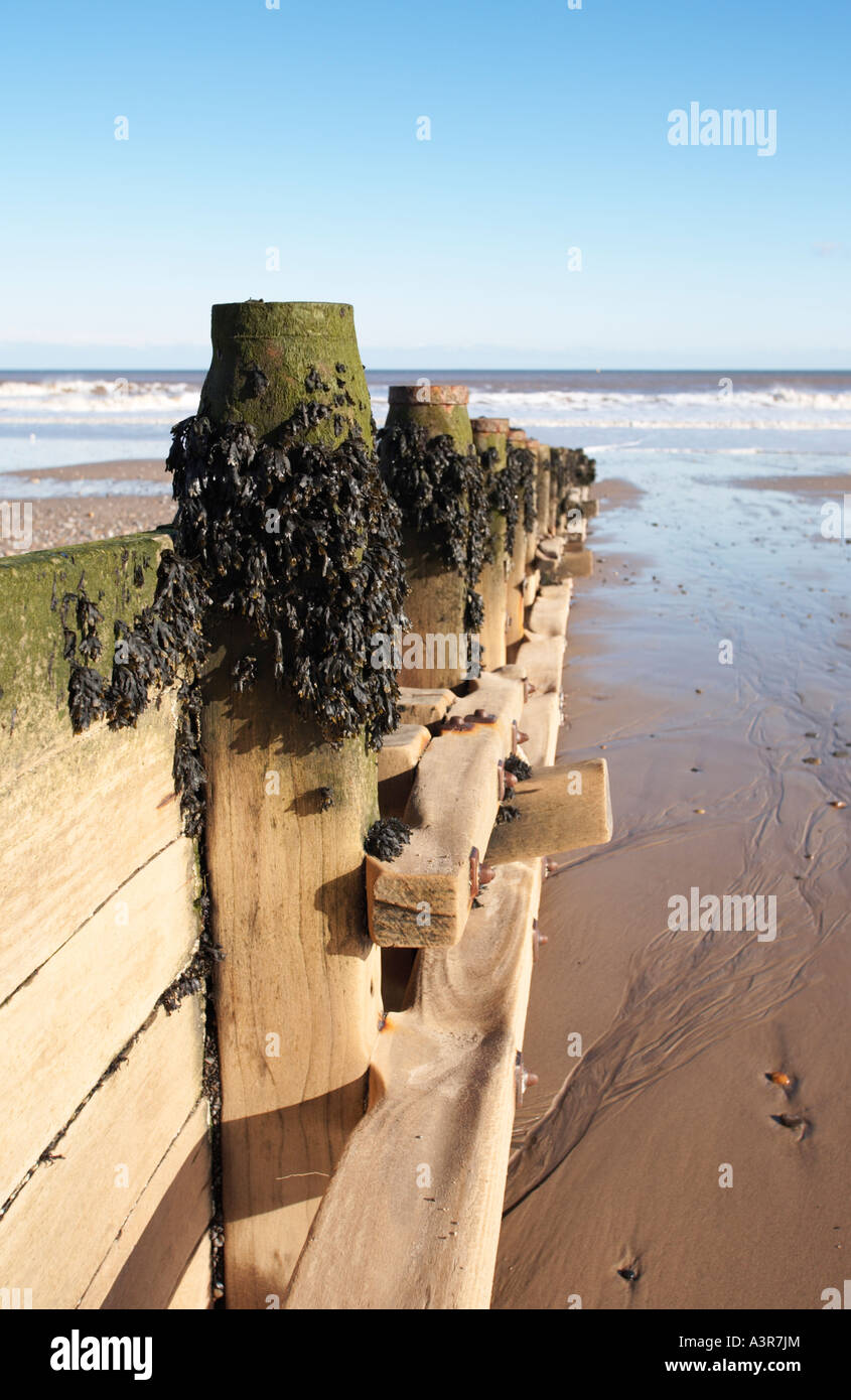 Le difese del mare frangiflutti, spiaggia, REGNO UNITO Foto Stock
