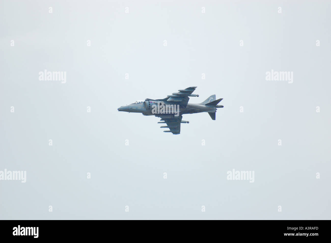 Harrier terra Attack Fighter bomber Foto Stock