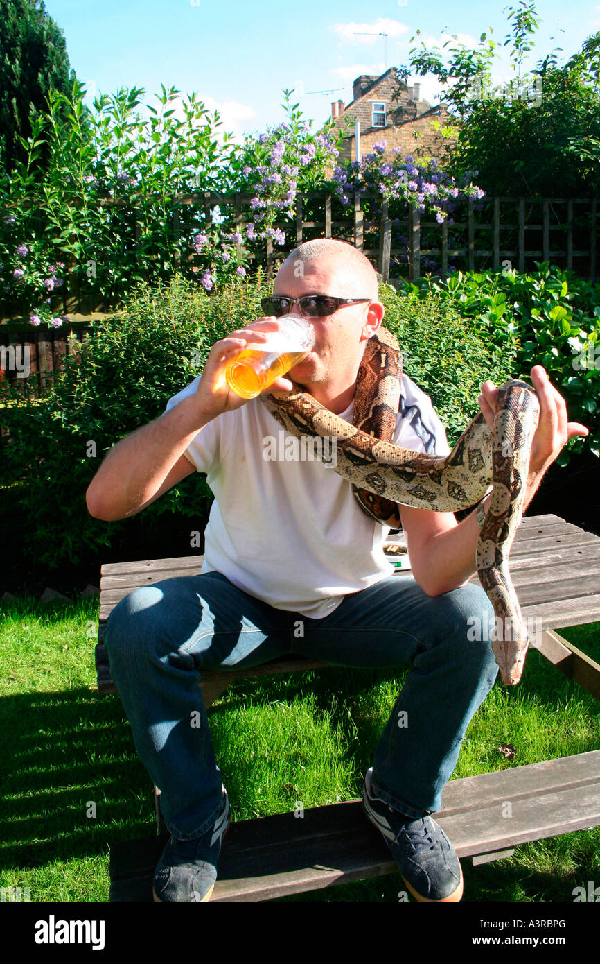 Uomo duro downs una pinta di birra mentre tiene un serpente di pet Foto Stock