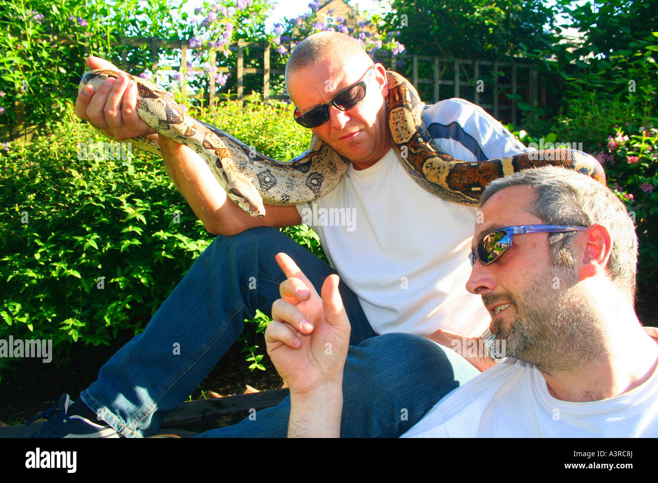 Due uomini e un serpente Foto Stock