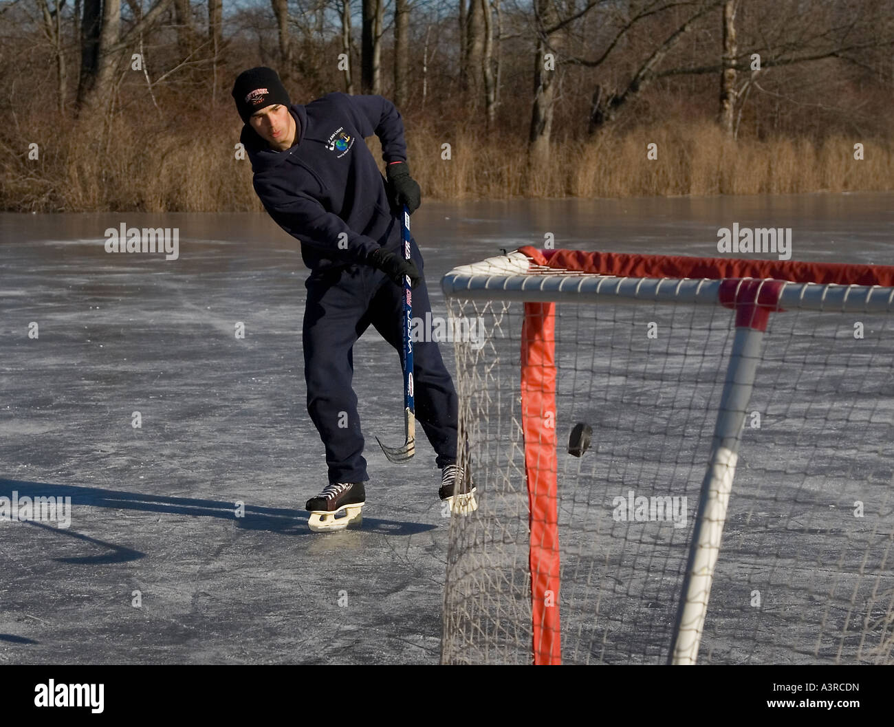 Giocatore di hockey che tira un disco in un gol Foto Stock
