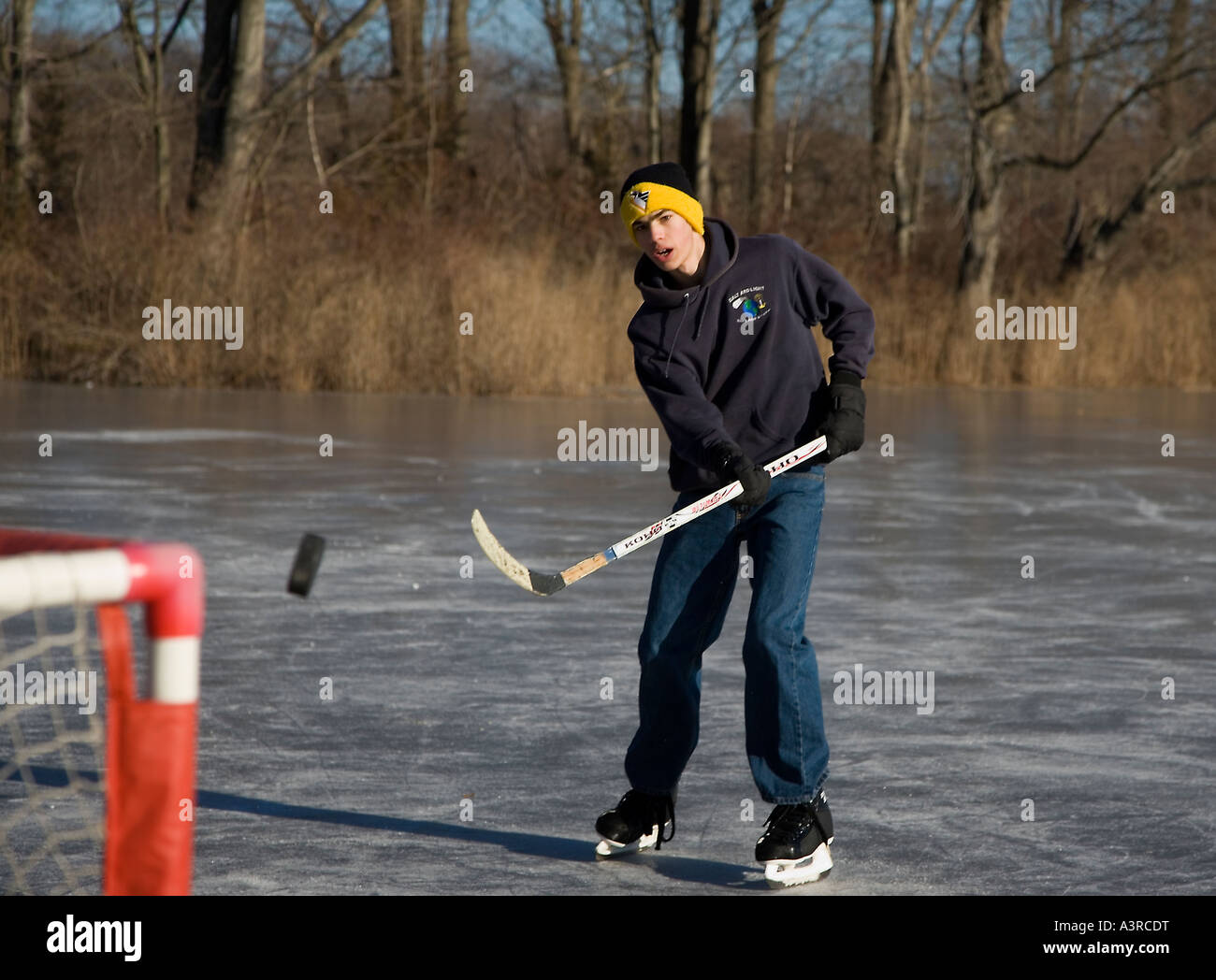 Ragazzo adolescente giocare ad hockey su un laghetto congelato Foto Stock