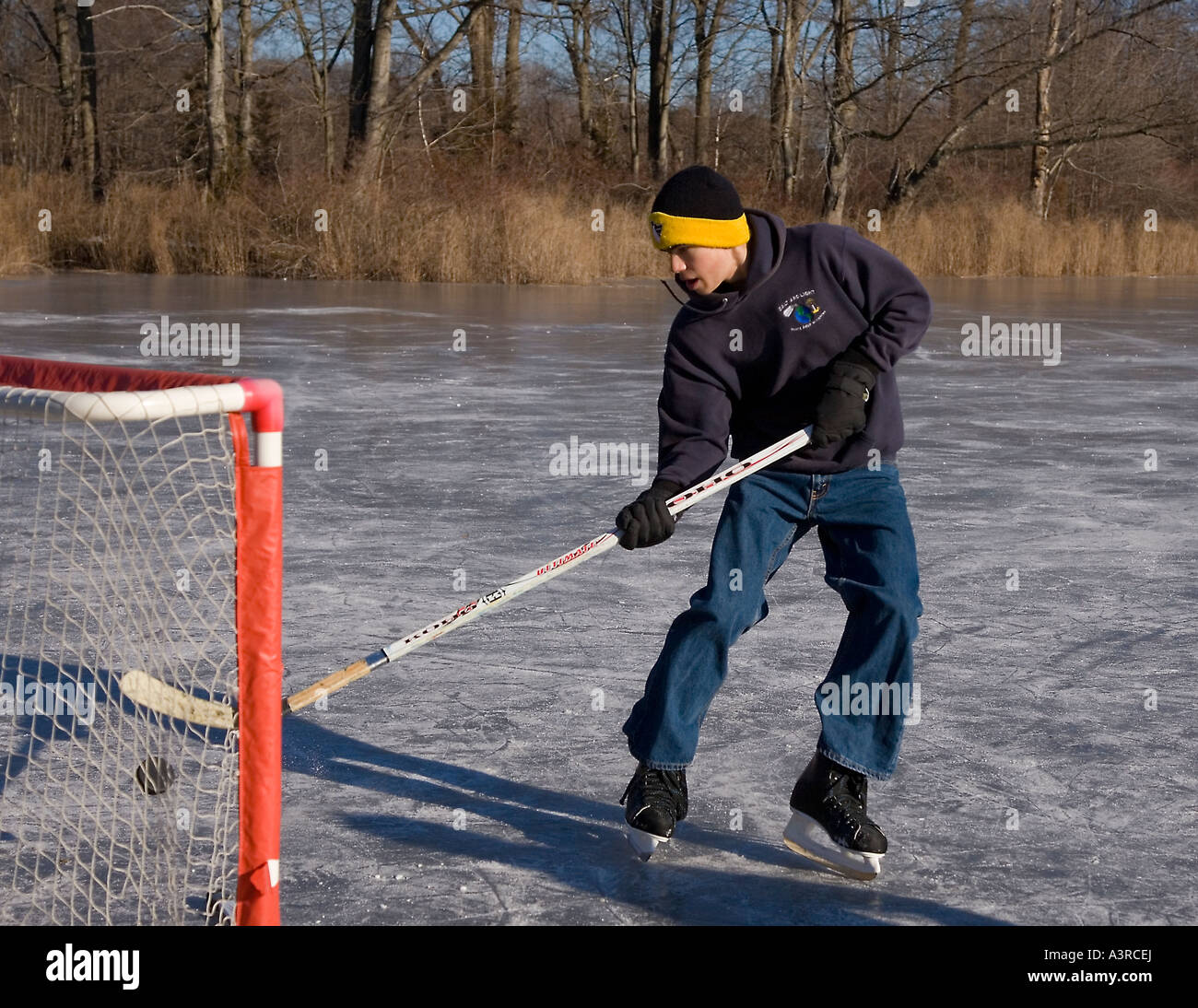 Ragazzo giocare hockey su ghiaccio su un laghetto congelato Foto Stock